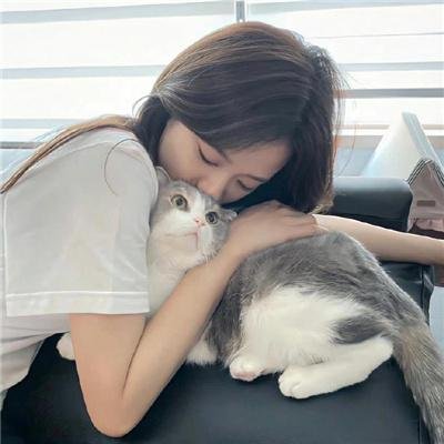 格子间女人